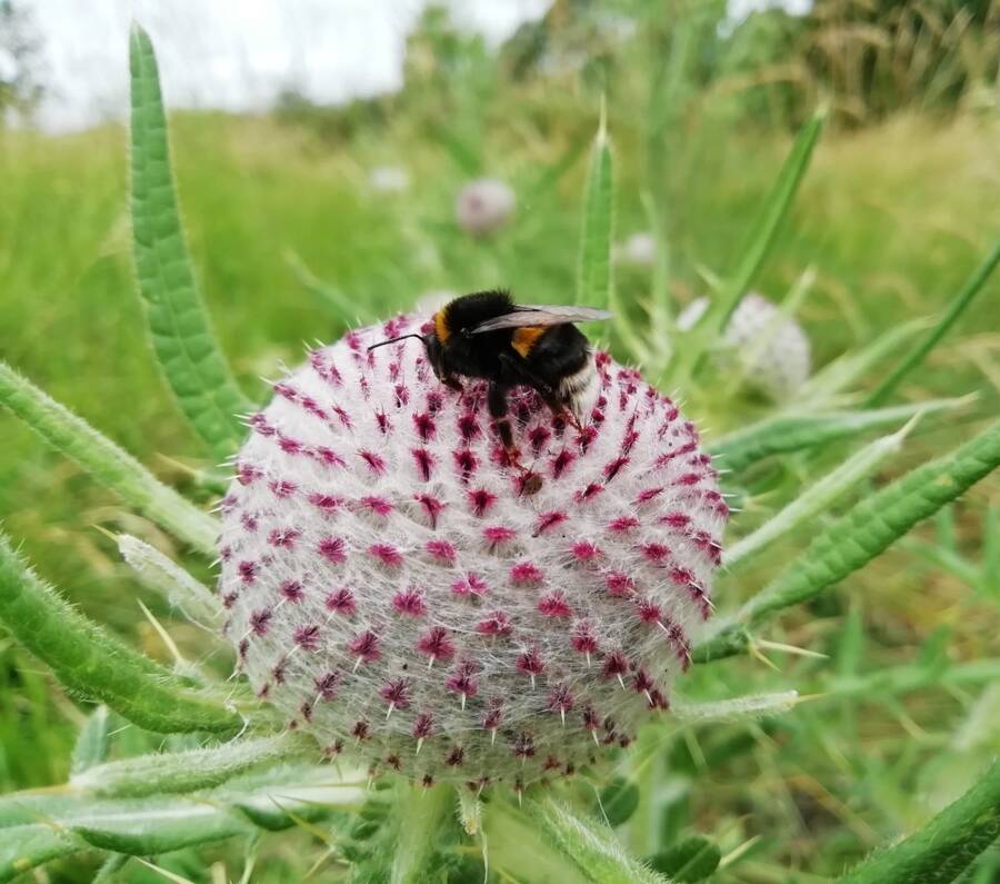 photographer Dave Wells uncategorized  photo