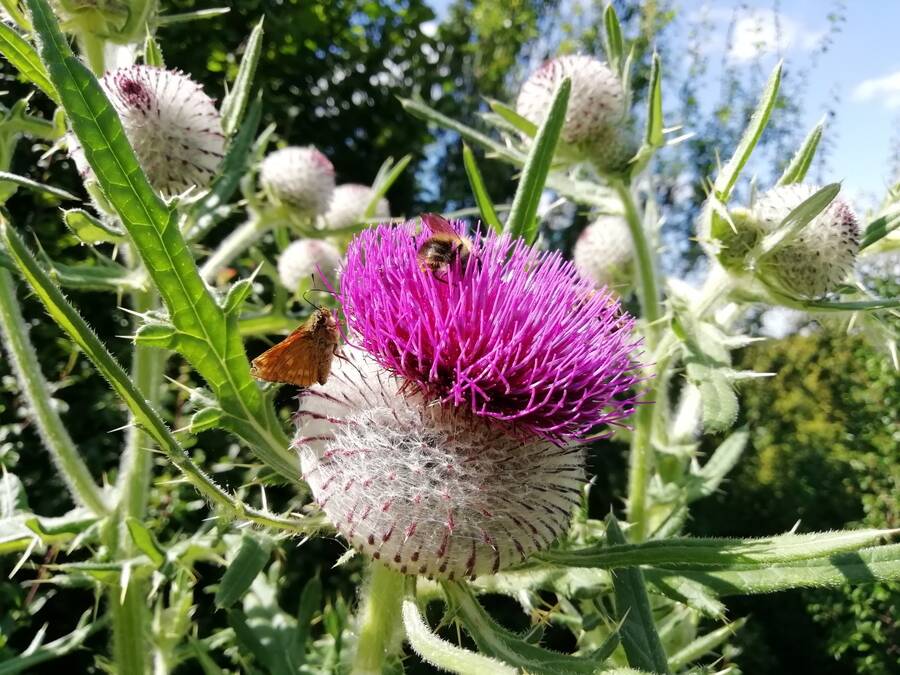 photographer Dave Wells uncategorized  photo