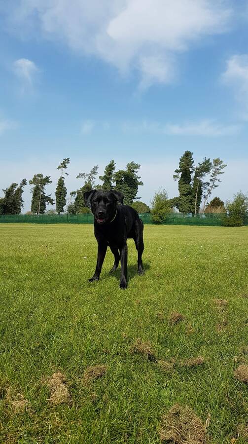 photographer Dave Wells uncategorized  photo