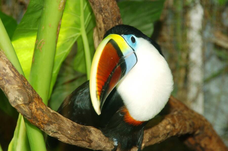 photographer Dave Wells uncategorized  photo