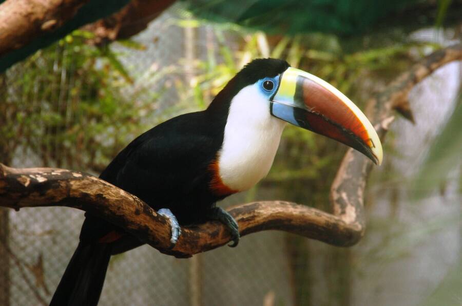 photographer Dave Wells uncategorized  photo