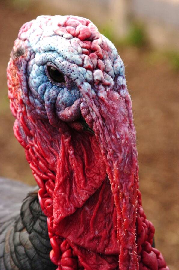 photographer Dave Wells uncategorized  photo