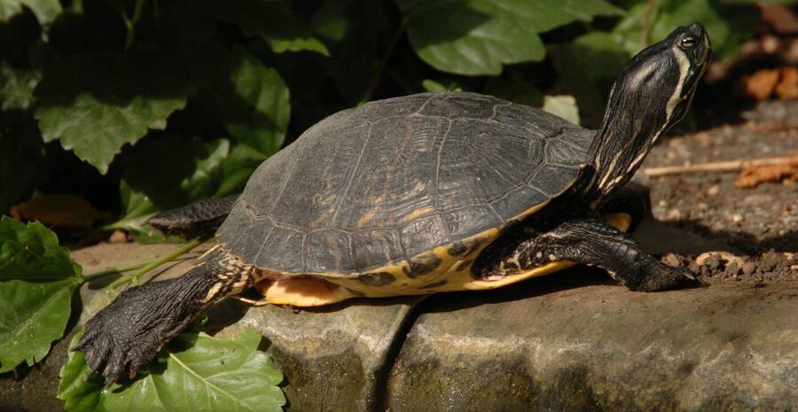 photographer Dave Wells uncategorized  photo