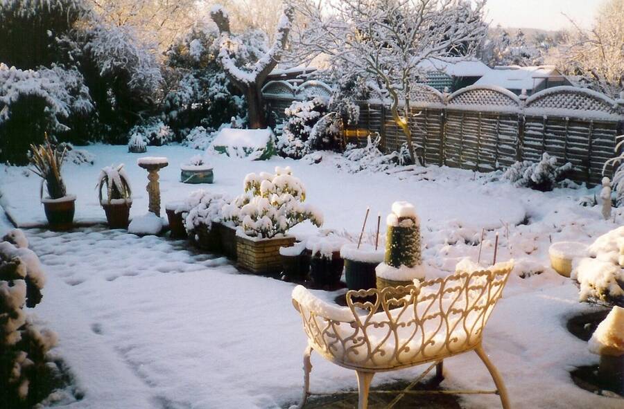 photographer Dave Wells uncategorized  photo