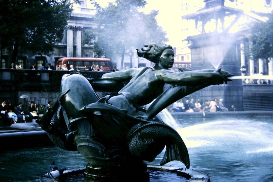 photographer Dave Wells uncategorized  photo