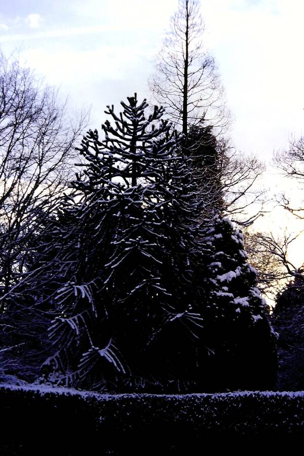 photographer Dave Wells uncategorized  photo