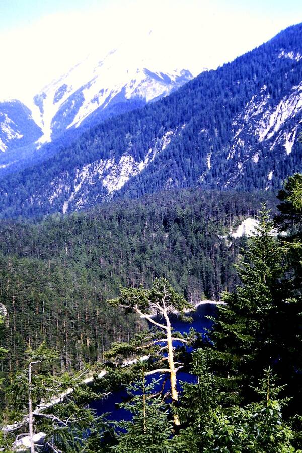 photographer Dave Wells uncategorized  photo