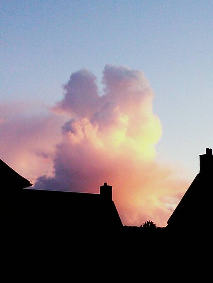 photographer Dave Wells uncategorized  photo