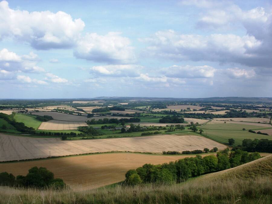 photographer Dave Wells uncategorized  photo