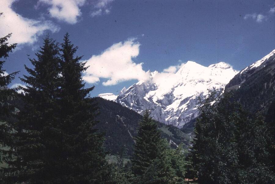 photographer Dave Wells uncategorized  photo