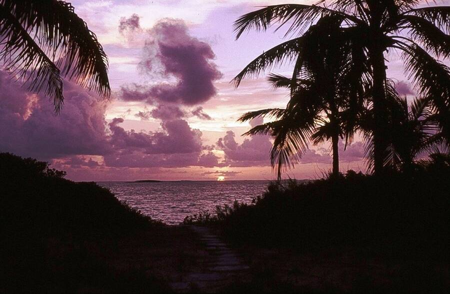 photographer Dave Wells uncategorized  photo