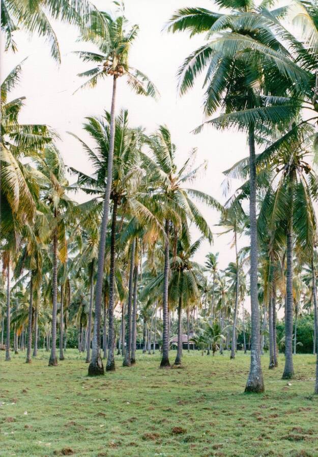 photographer Dave Wells uncategorized  photo