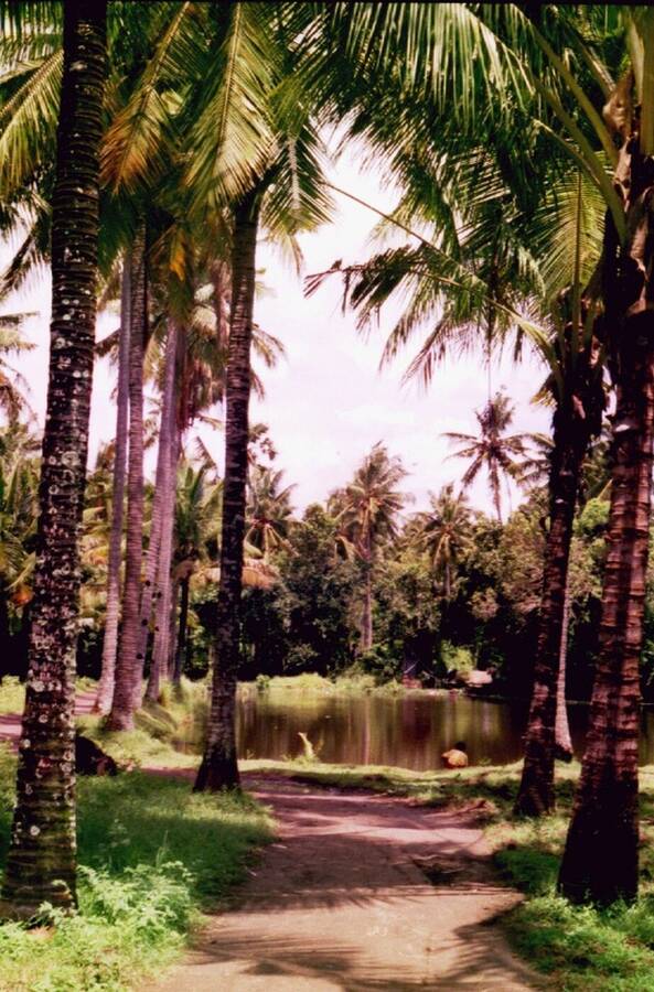 photographer Dave Wells uncategorized  photo