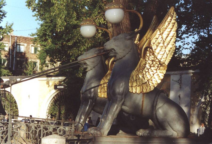 photographer Dave Wells uncategorized  photo