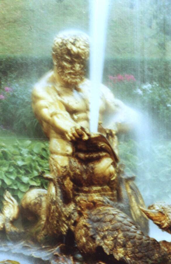 photographer Dave Wells uncategorized  photo