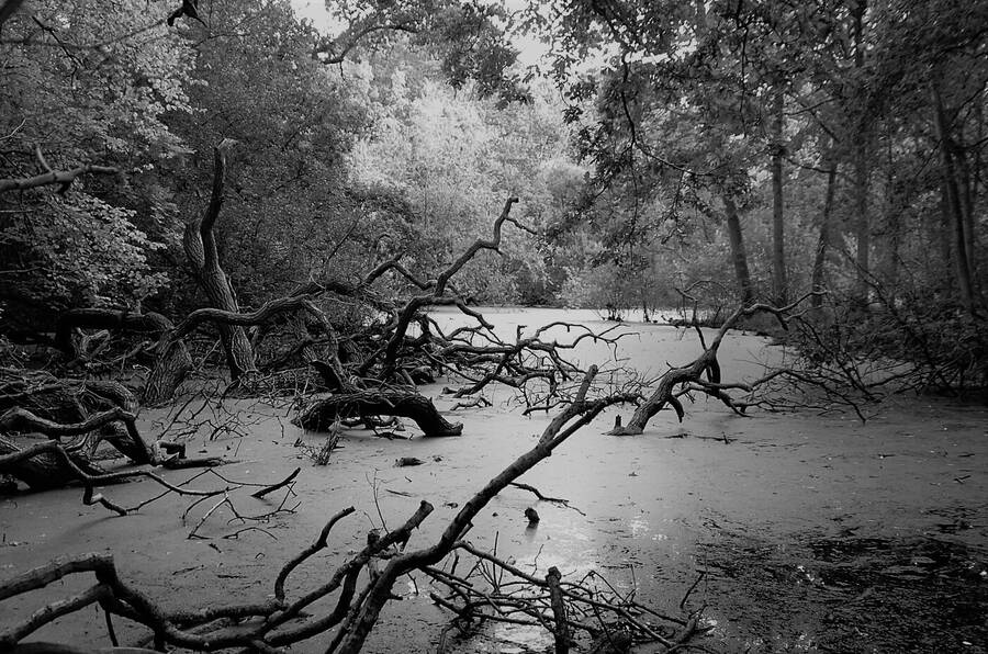 photographer Dave Wells uncategorized  photo