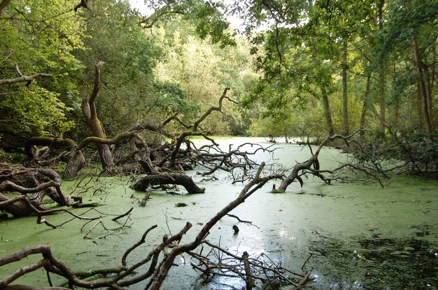 photographer Dave Wells uncategorized  photo