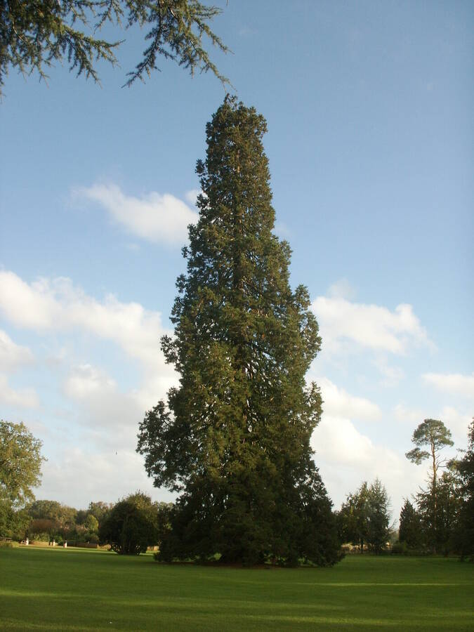 photographer Dave Wells uncategorized  photo