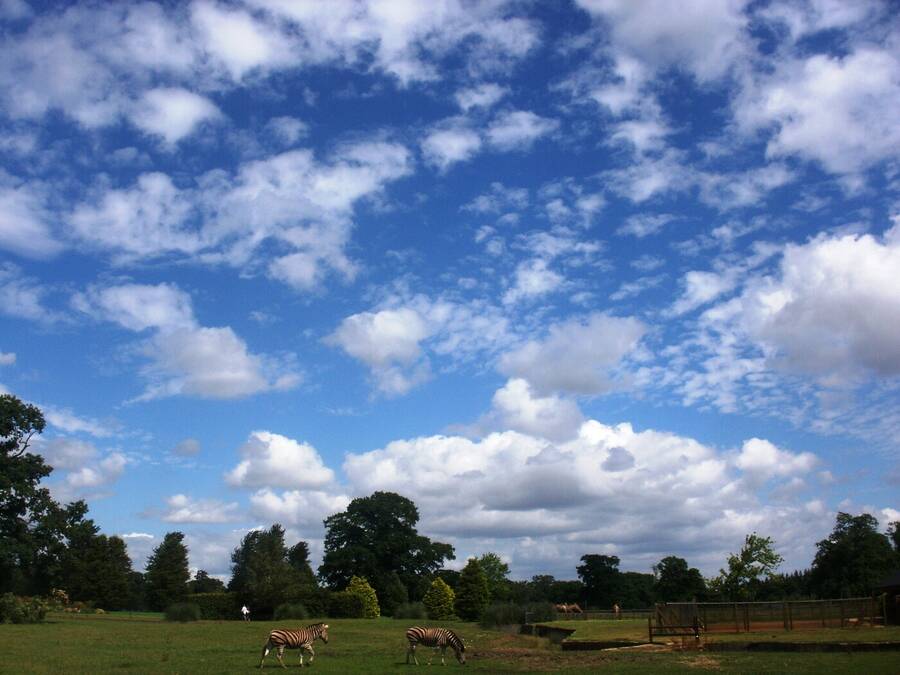 photographer Dave Wells uncategorized  photo