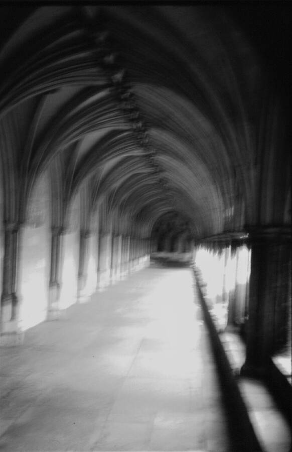 photographer Dave Wells uncategorized  photo