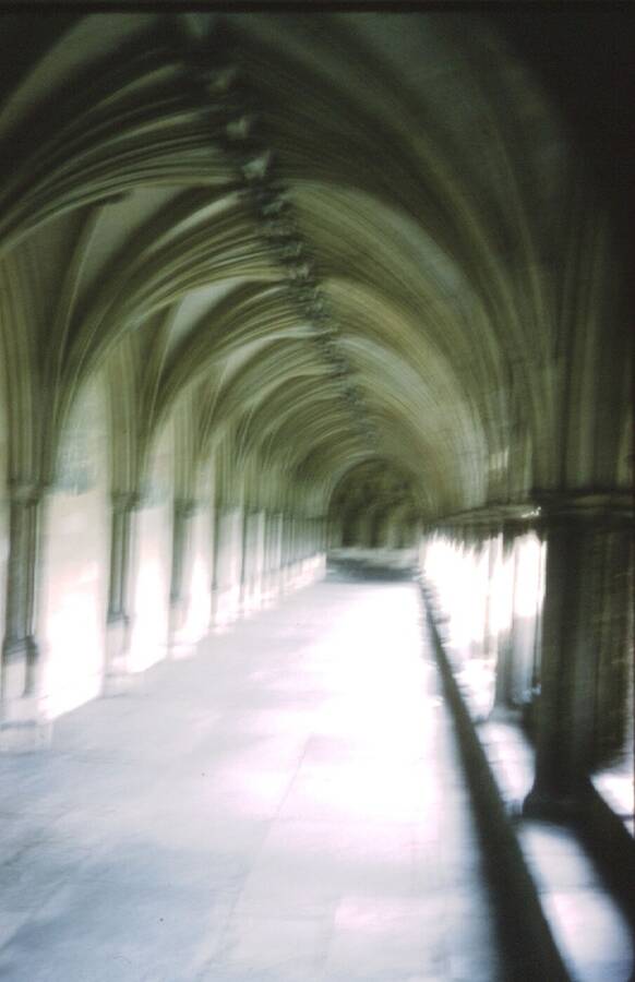 photographer Dave Wells uncategorized  photo