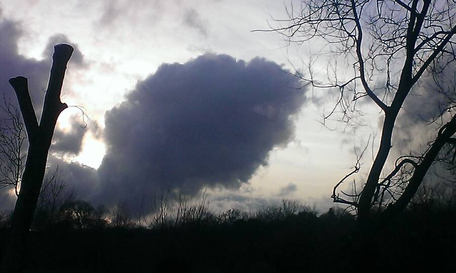 photographer Dave Wells uncategorized  photo