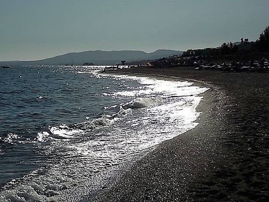 photographer Dave Wells uncategorized  photo