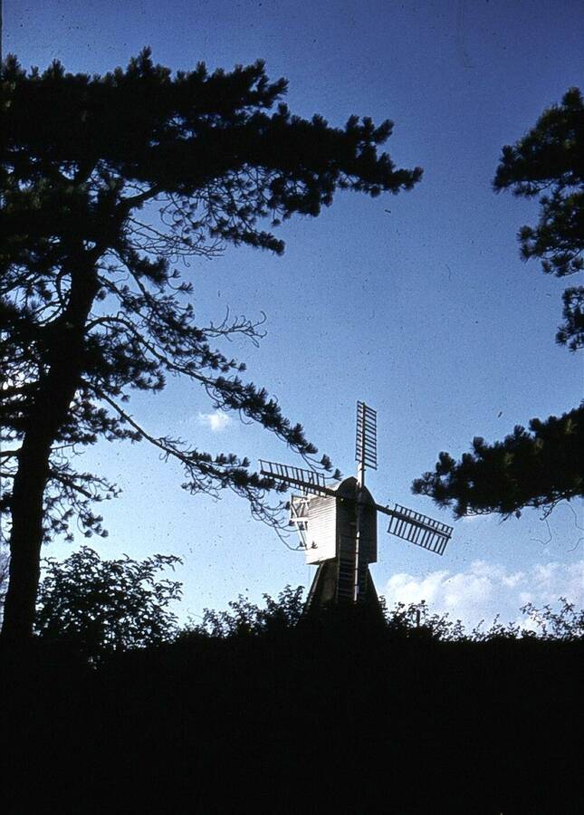 photographer Dave Wells uncategorized  photo