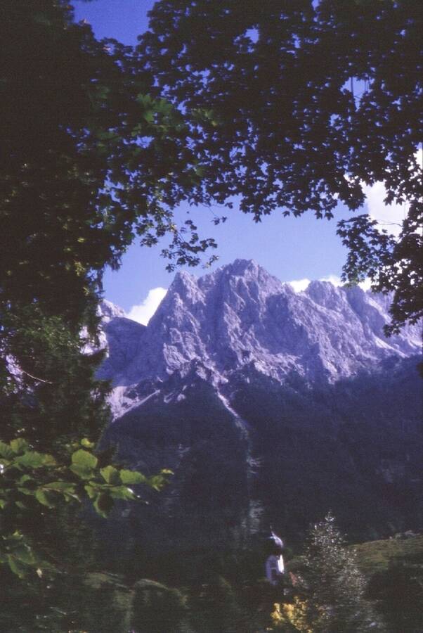 photographer Dave Wells uncategorized  photo