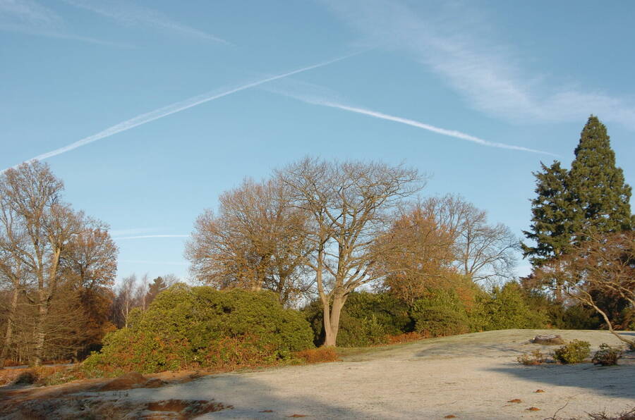 photographer Dave Wells uncategorized  photo