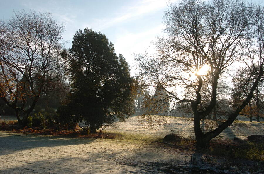 photographer Dave Wells uncategorized  photo