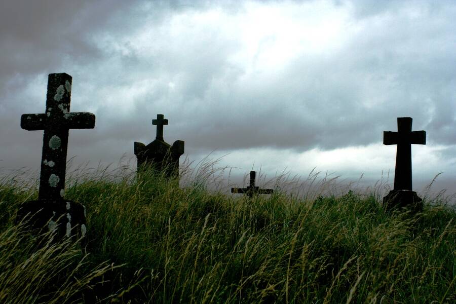 photographer Dave Wells uncategorized  photo