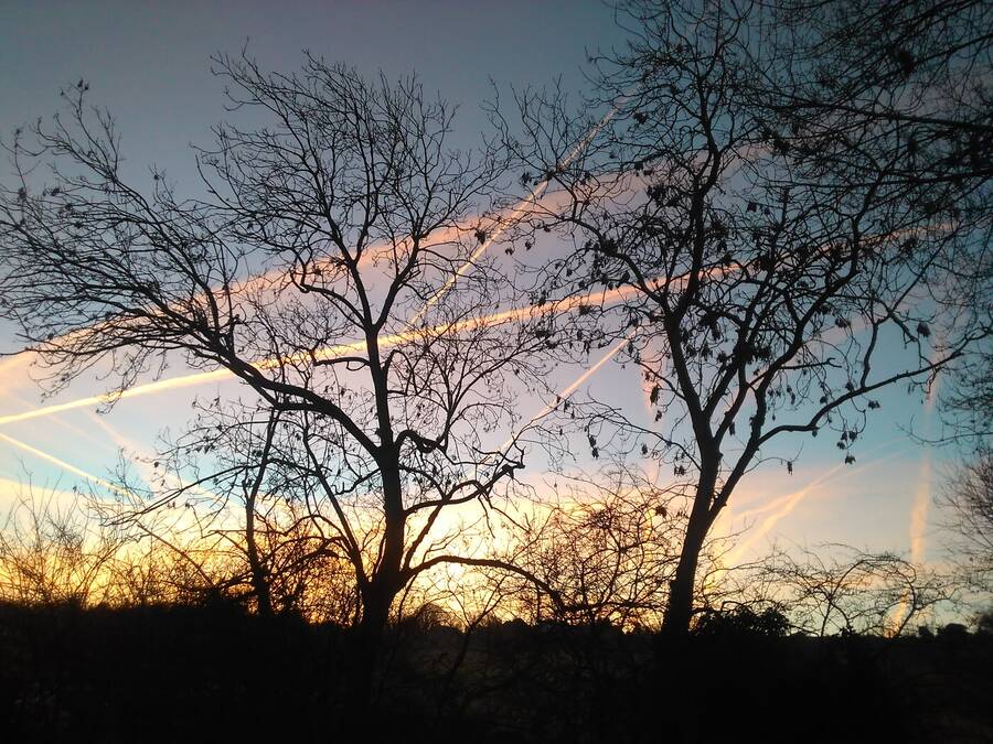 photographer Dave Wells uncategorized  photo