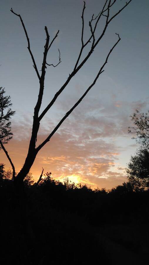 photographer Dave Wells uncategorized  photo