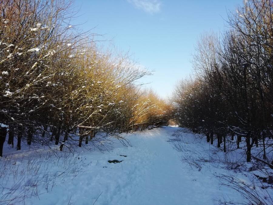 photographer Dave Wells uncategorized  photo