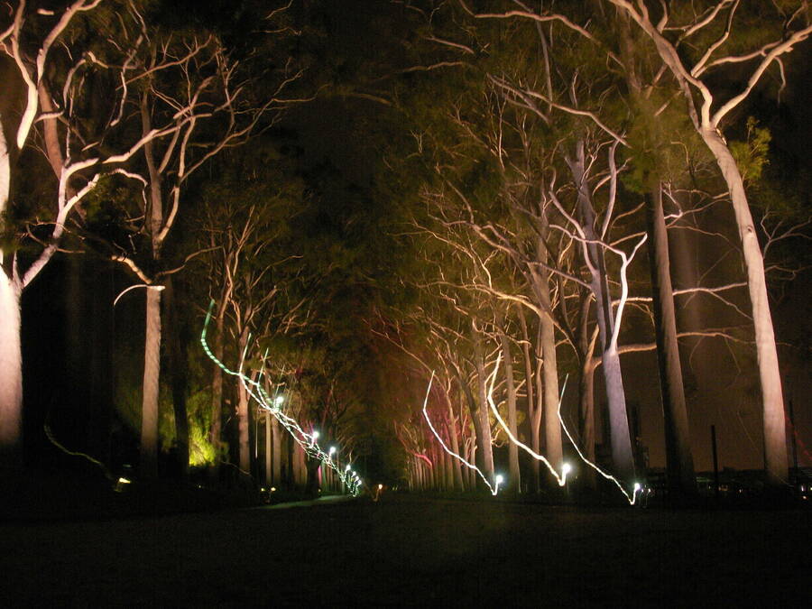 photographer Dave Wells uncategorized  photo