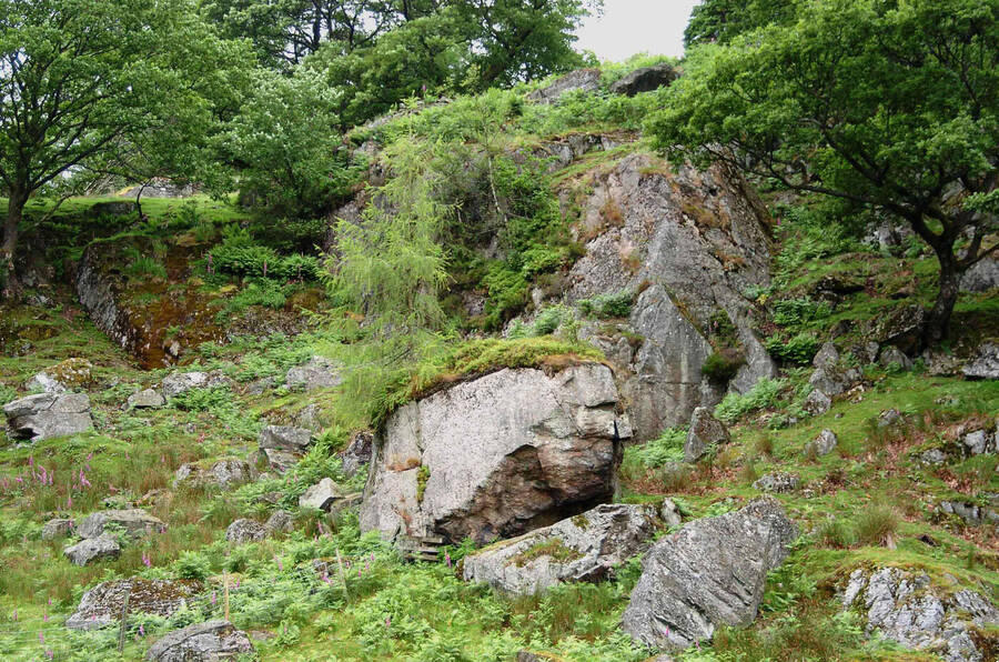 photographer Dave Wells uncategorized  photo