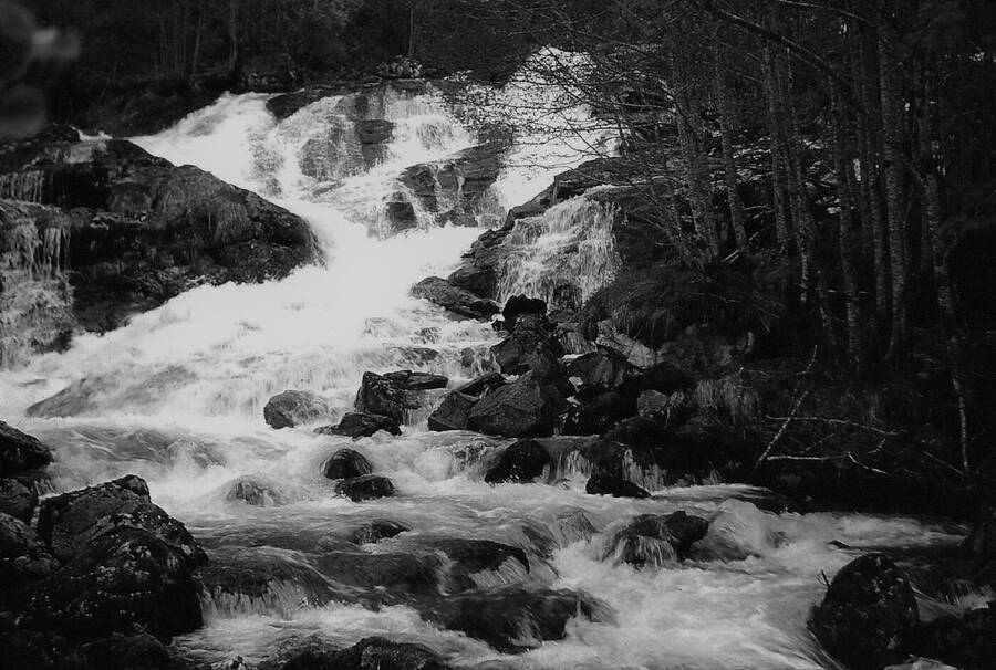 photographer Dave Wells uncategorized  photo