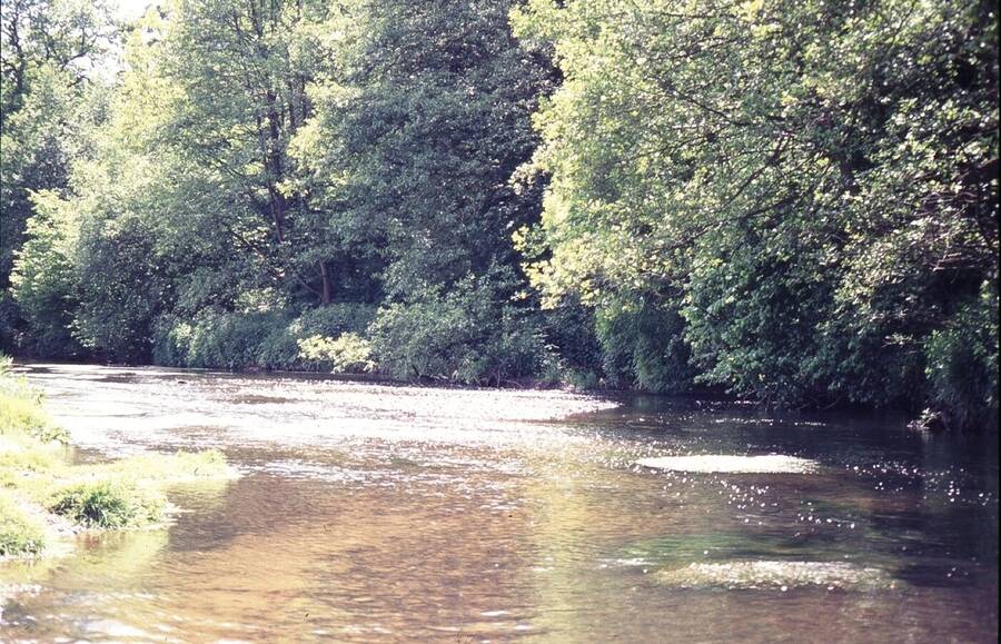 photographer Dave Wells uncategorized  photo