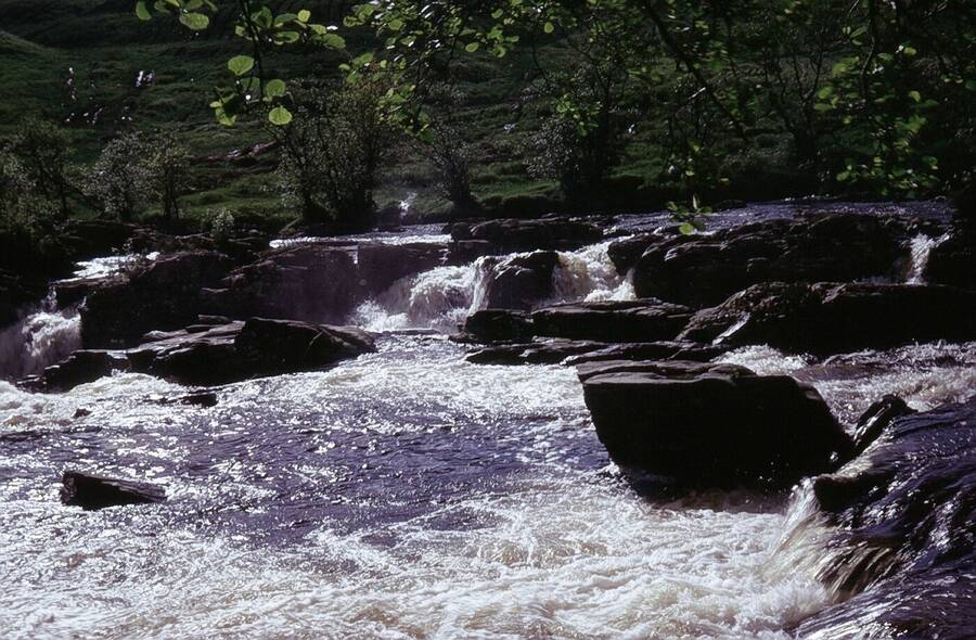 photographer Dave Wells uncategorized  photo