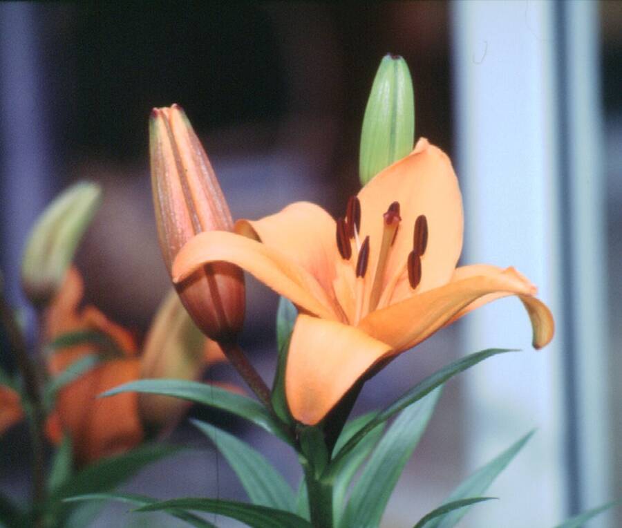 photographer Dave Wells uncategorized  photo