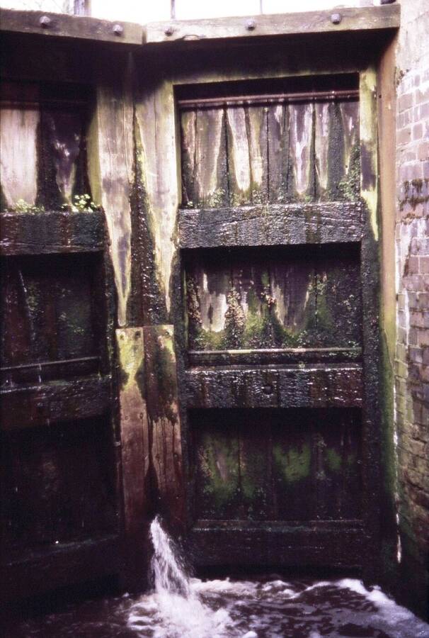 photographer Dave Wells uncategorized  photo