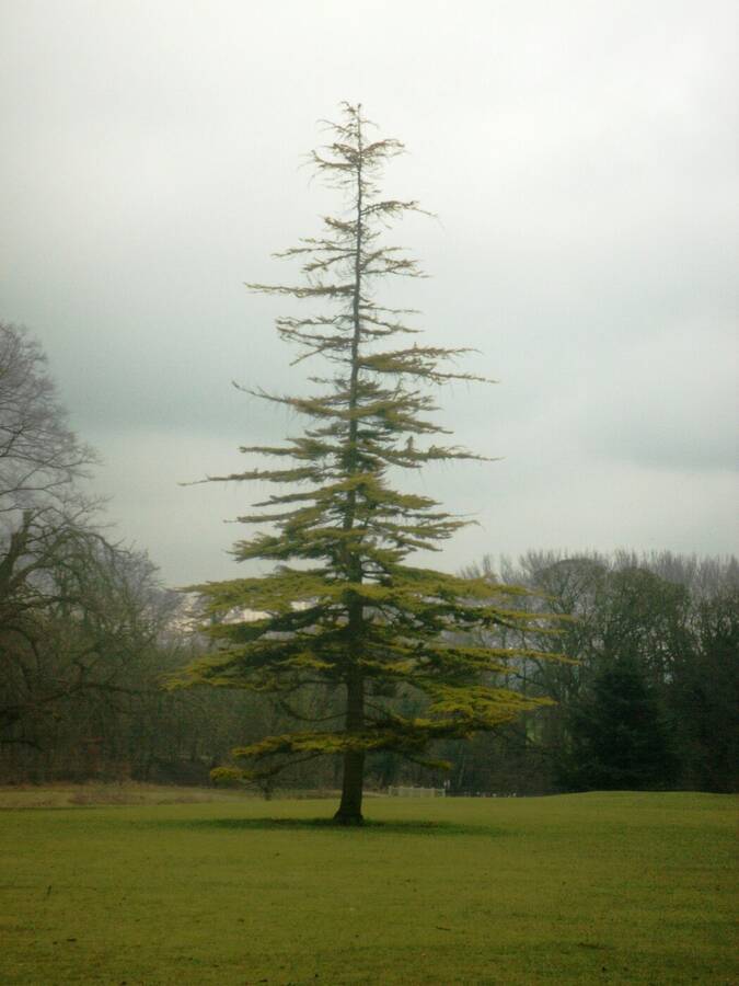 photographer Dave Wells uncategorized  photo