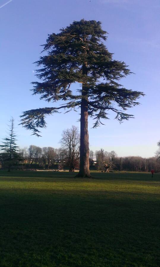 photographer Dave Wells uncategorized  photo