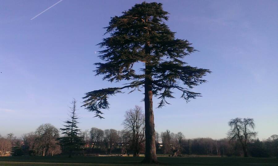 photographer Dave Wells uncategorized  photo