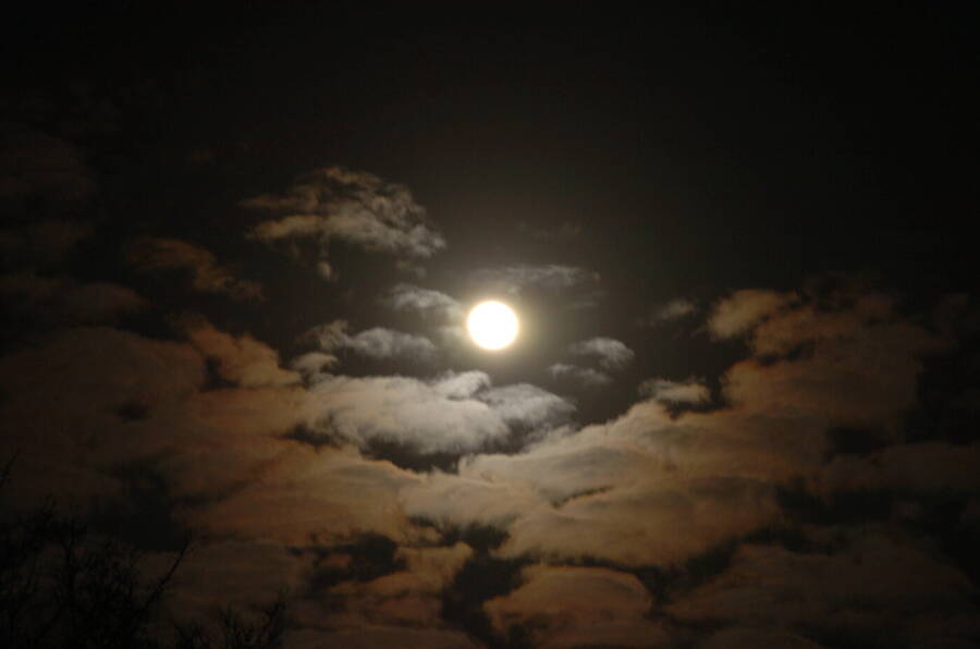 photographer Dave Wells uncategorized  photo