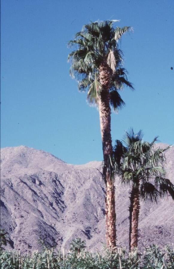 photographer Dave Wells uncategorized  photo