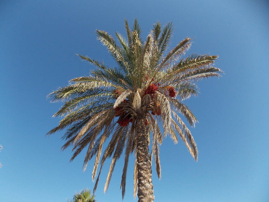 photographer Dave Wells uncategorized  photo