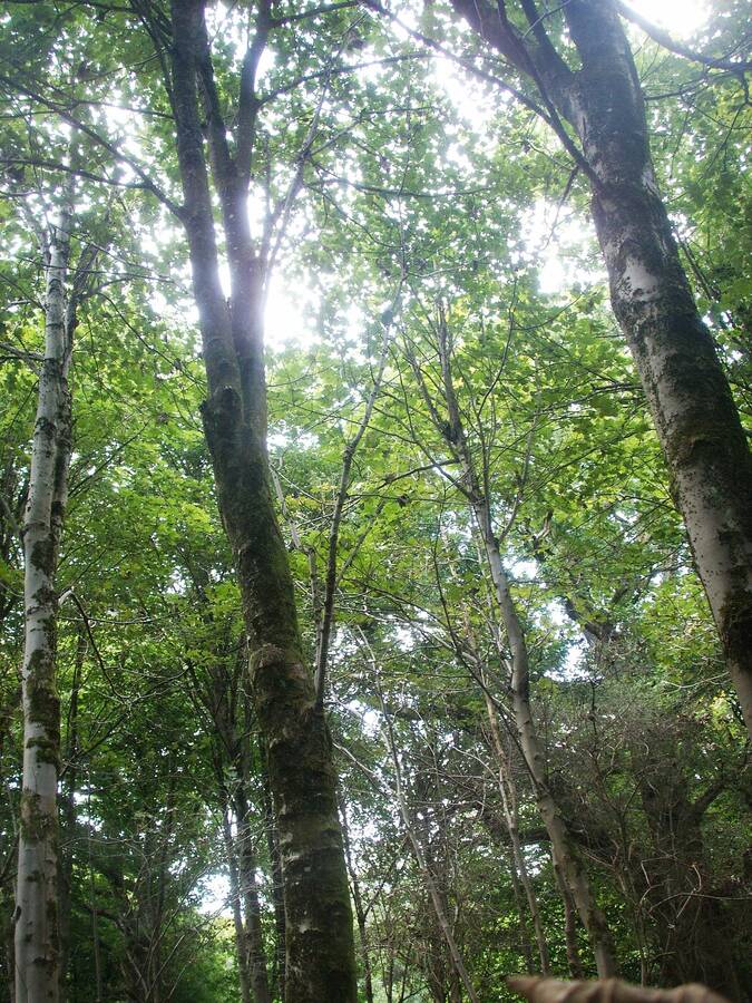 photographer Dave Wells uncategorized  photo