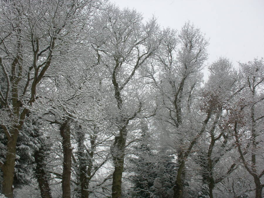 photographer Dave Wells uncategorized  photo